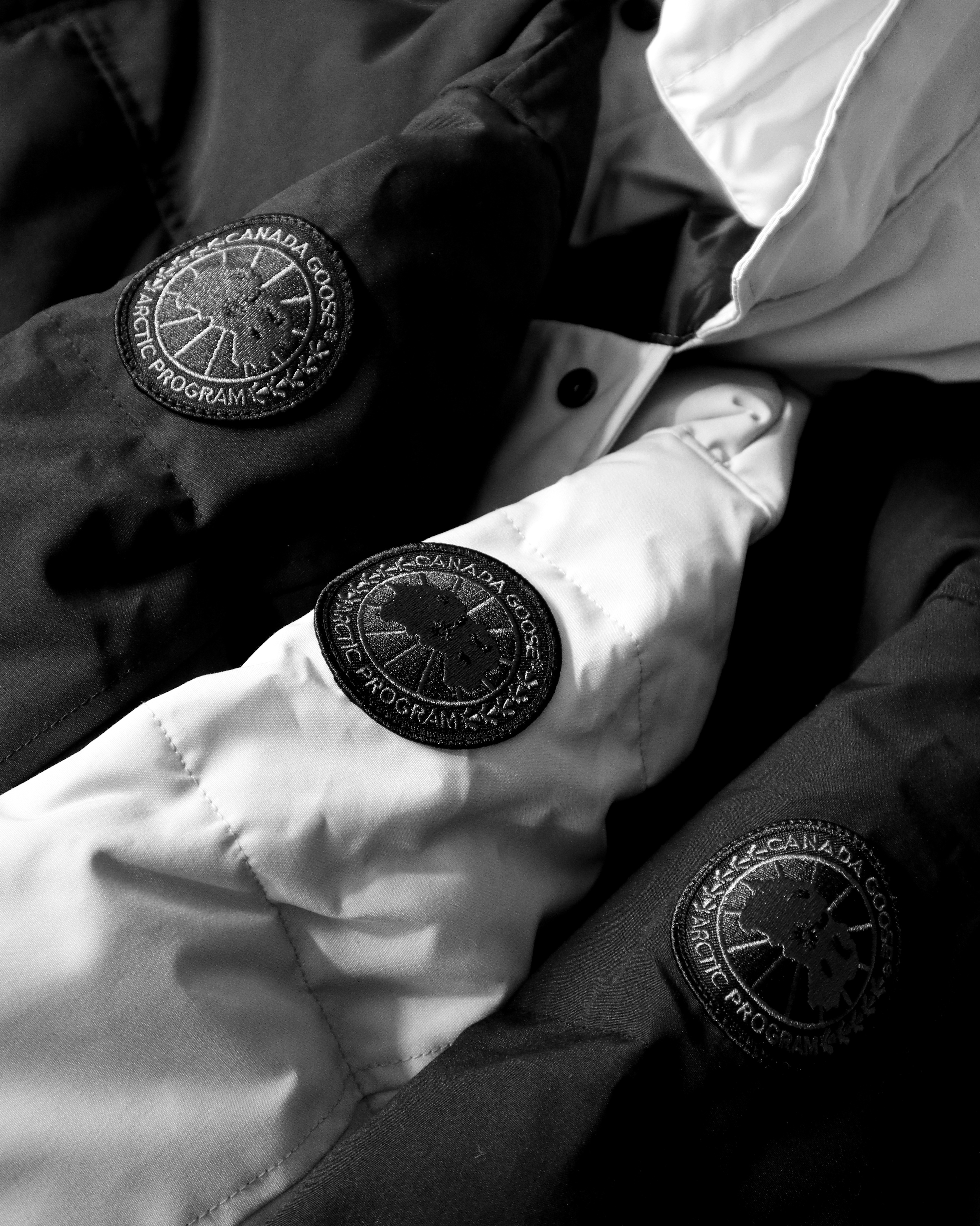 Canada goose 2025 black label sale